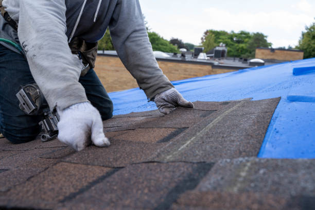 Best Gutter Installation and Roofing  in Richland, MS